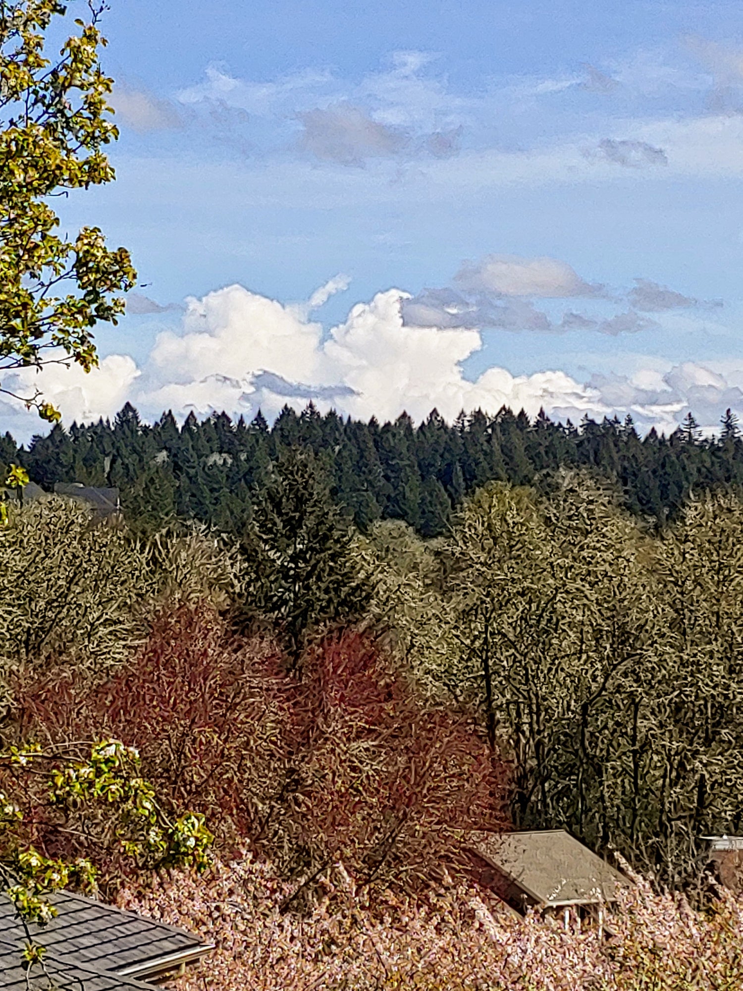 Layers
