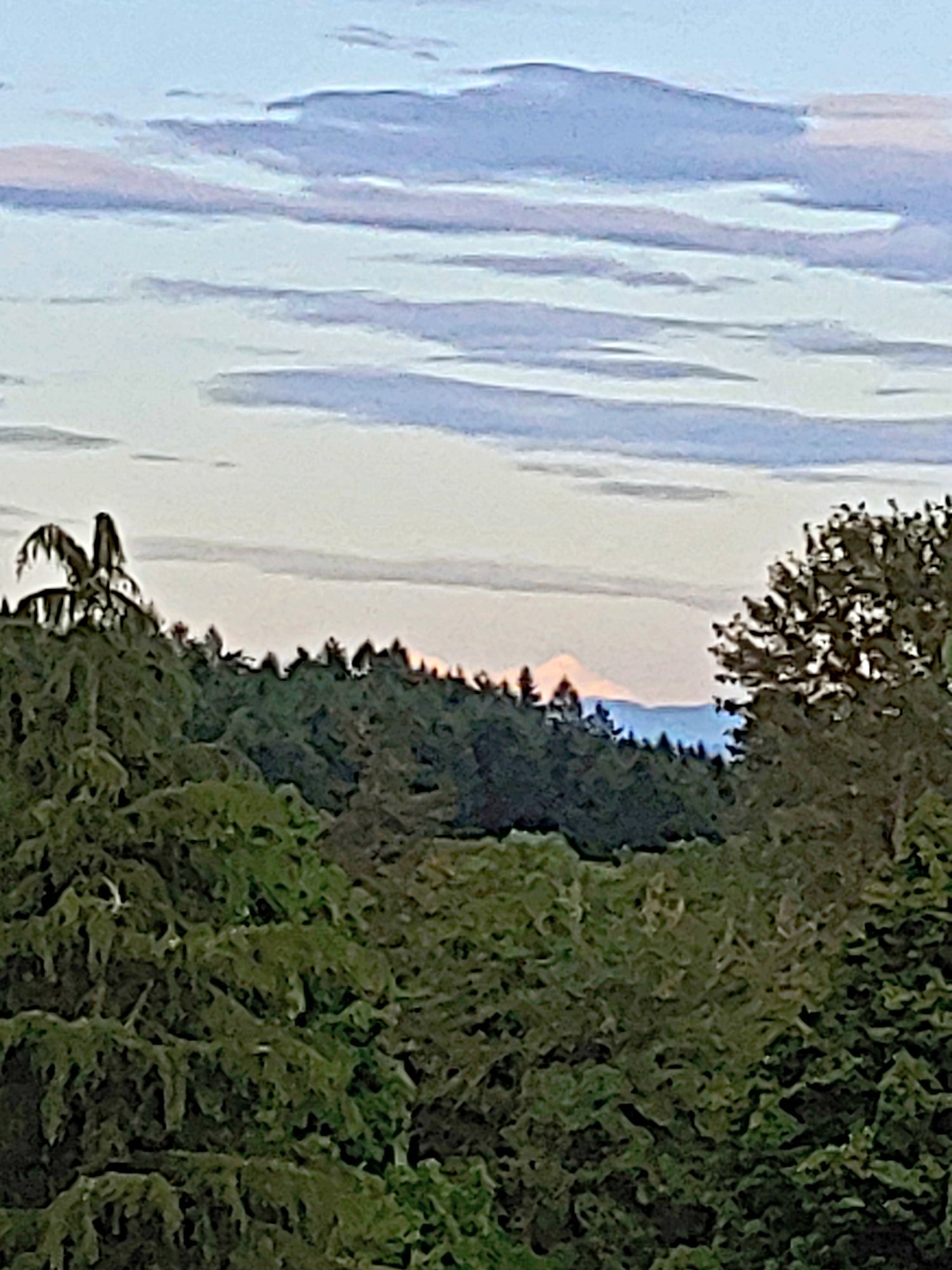 Mount Hope