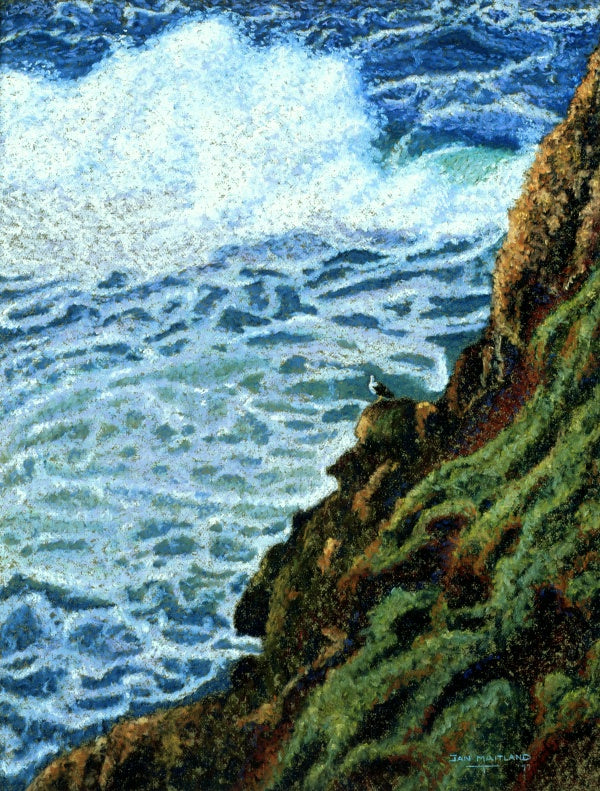 Seagull’s View